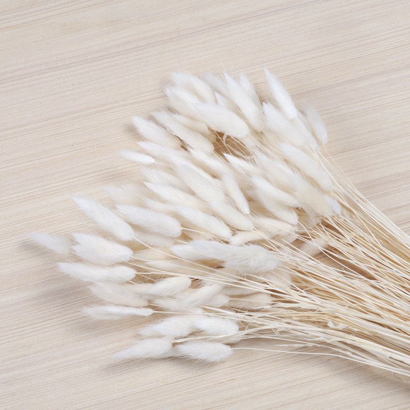 Bunny Tail Arrangement