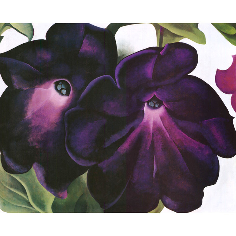 Pétunias noirs et mauves, H 19 po x l 24 po