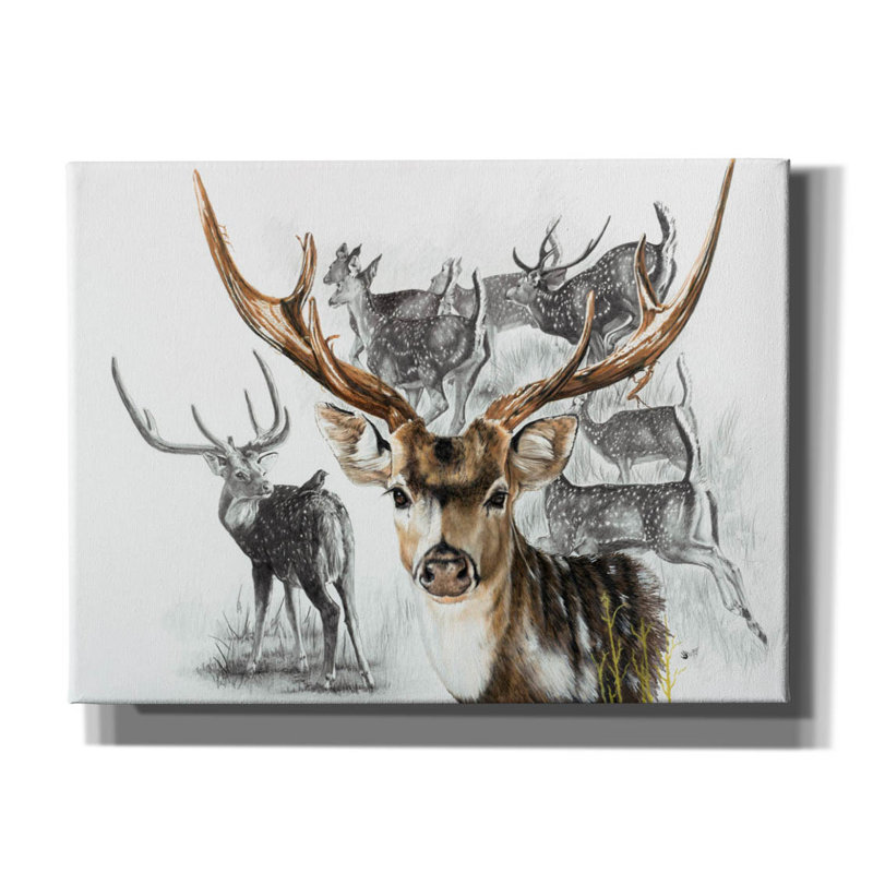 «Axis Deer» par Barbara Keith, art mural sur toile, H 12 po x l 16 po x P 0,75 po