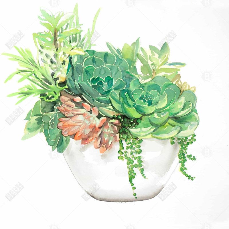 " Succulent Assortment In A Pot "