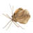 Leaf Butterfly Shelf Sitter (Set of 2)-243174834