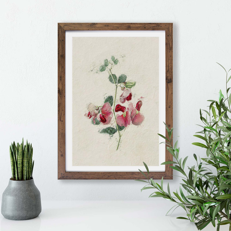 Sweet Pea Flowers - Single Picture Frame Painting, 33cm H x 45cm W x 2cm D, Walnut