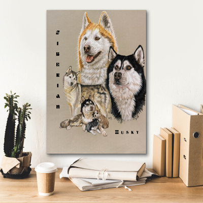 " Siberian Husky " by Barbara Keith