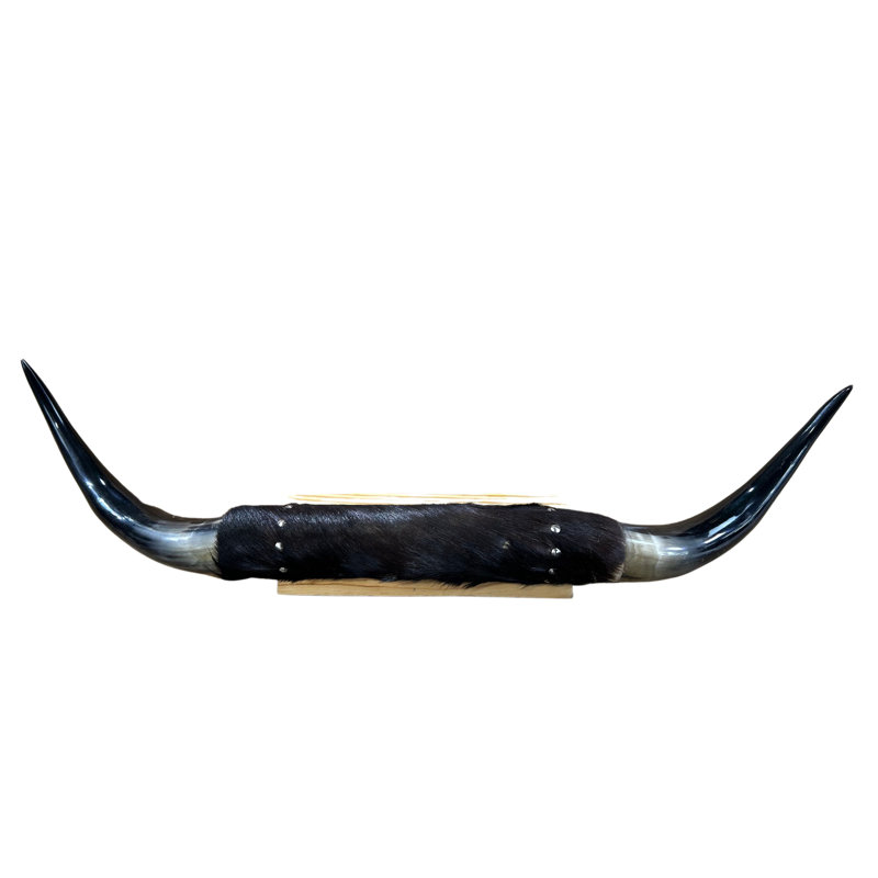 Pounders Real Steer Horns Mount