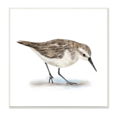 Charmant bécasseau sur un sable doux, oiseau nautique brun - impression