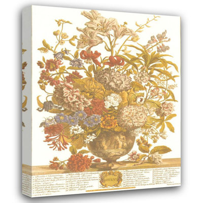 Douze mois de fleurs, 1730 / juillet