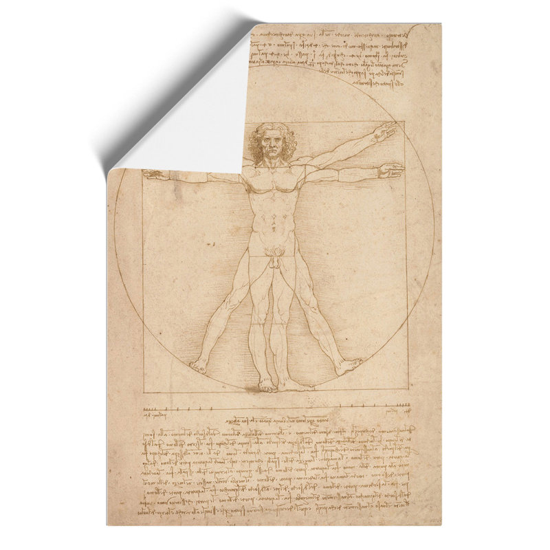 Vitruvian Man Vol.2 by Leonardo Da Vinci - No Frame Print, 30cm H x 21cm W x 0.1cm D