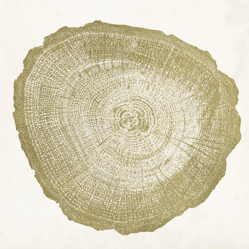 Anneau d'arbre IV, H 36 po x l 36 po x P 1,25 po