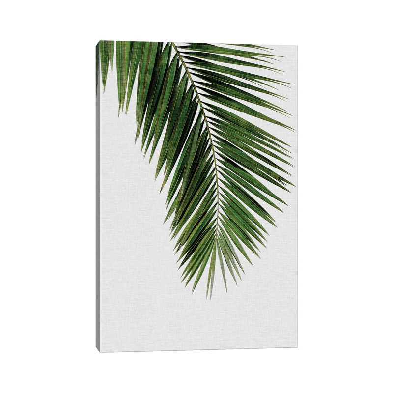 Palm Leaf I by Orara Studio - Wrapped Canvas Print, 20.32 cm H x 30.48 cm W