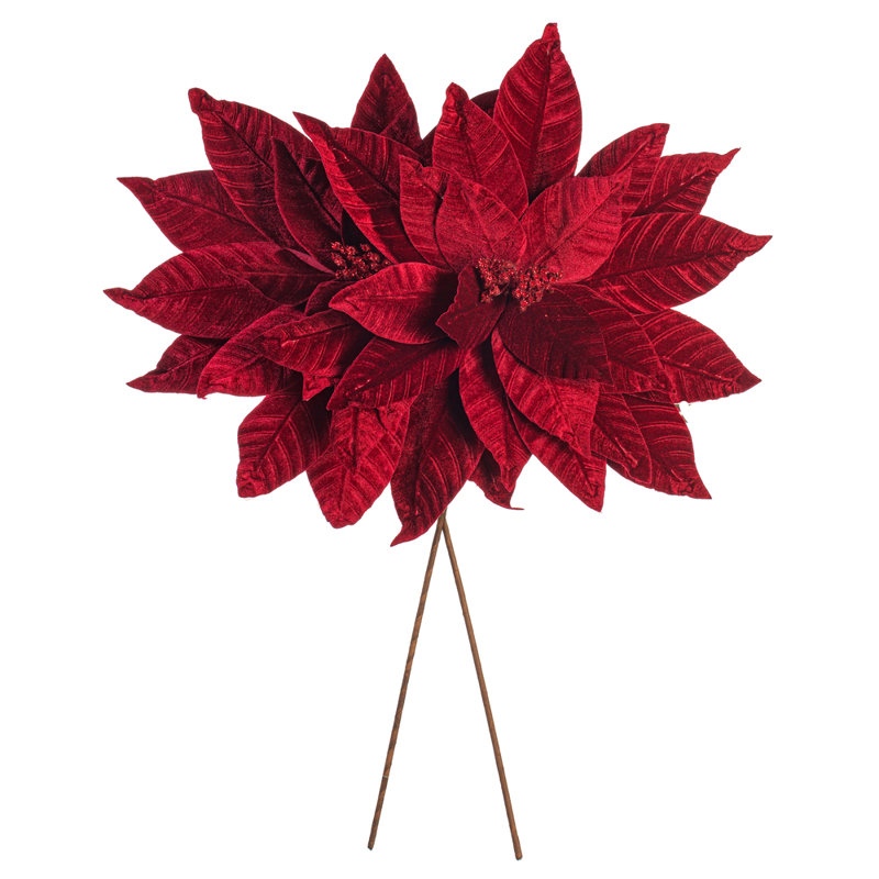 Tiges de poinsettia Clementina, Bourgogne