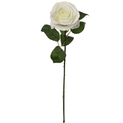 Tiges de roses ouvertes