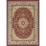 Oriental Area Rug in Red
