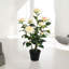 58cm Faux Plant in Pot