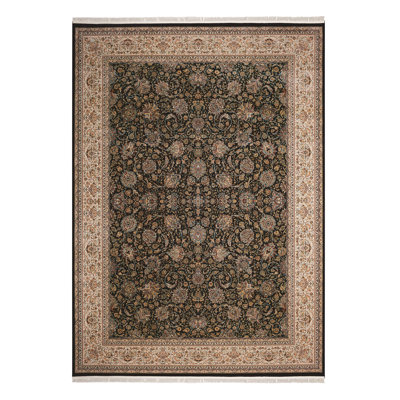 Catarina Oriental Indoor Rug