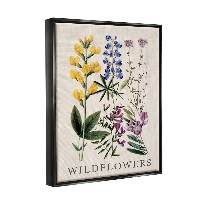 «Wildflower Species Study», reproduction encadrée sur toile par Piddix, H 21 po x l 17 po x P 1,7 po