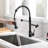 Fapully Pull Down Kitchen Faucet-61611599