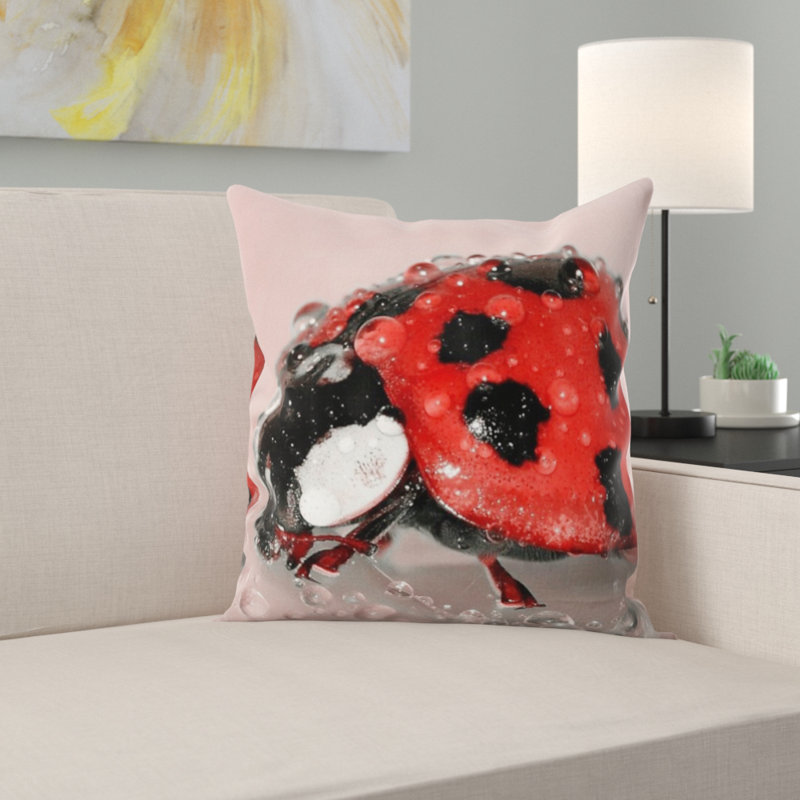 Coussin coccinelle