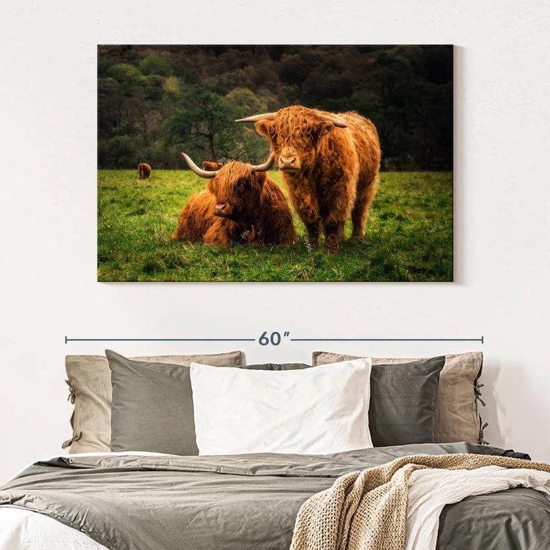 Brampt Highland Cow Friends, H 34 po x l 51 po