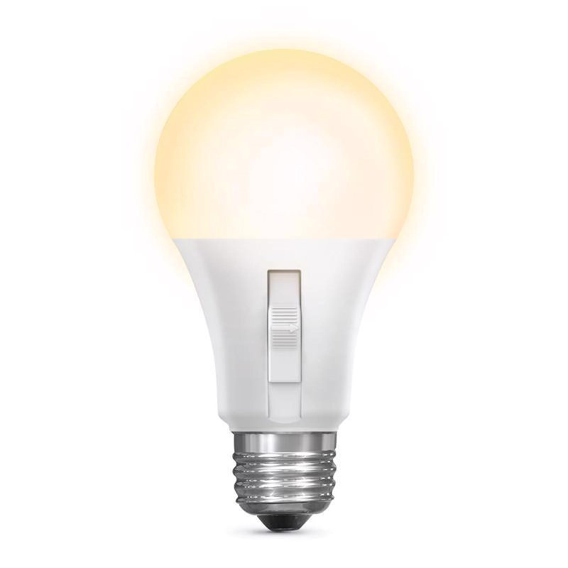 Ampoule à DEL Ait E19 (moyenne) Feit A19 (moyenne) 60 W, blanc, 8,8 W