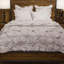 Savanna Comforter Set-55382563-55382564