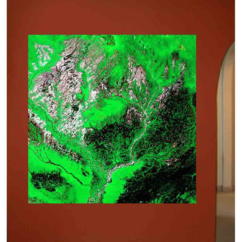 Adhésif décoratif Araca, H 24 po x l 24 po