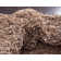 Tapis brun sablonneux Rodolphe