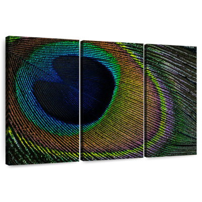 Peacock Plummage