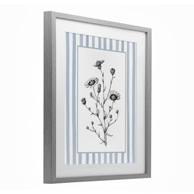 «Herbs in Striped Border», reproduction encadrée sous verre, design par lettré et doublé