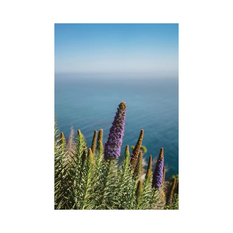 «Big Sur Blooms II» par Bethany Young, reproduction de photo sur toile tendue, H 60 po x l 40po x P 1,5 po