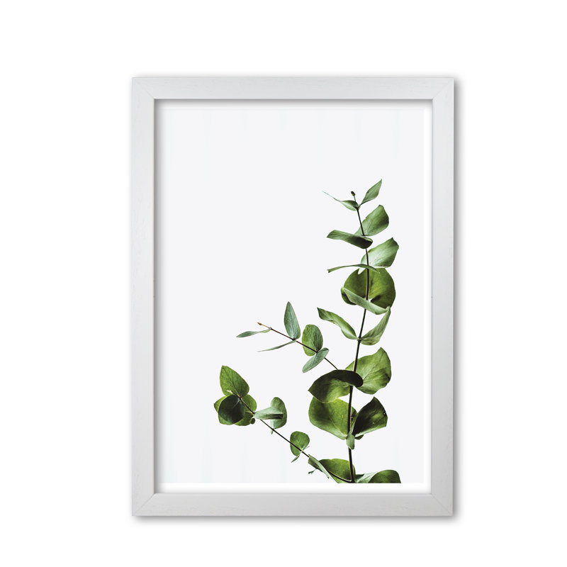 Elegant Plant - Print, White Grain Frame, 85 cm H x 60 cm W x 5 cm D