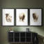 «Rustic Bull II», impression encadrée sur mesure de qualité supérieure mate - 3 pièces-607174411-607174408