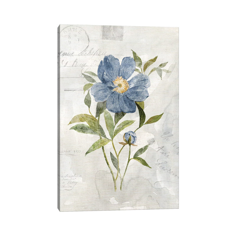 Blue Linen Peony by Carol Robinson - Wrapped Canvas Print, 66.04 cm H x 45.72 cm W x 3.175 cm D