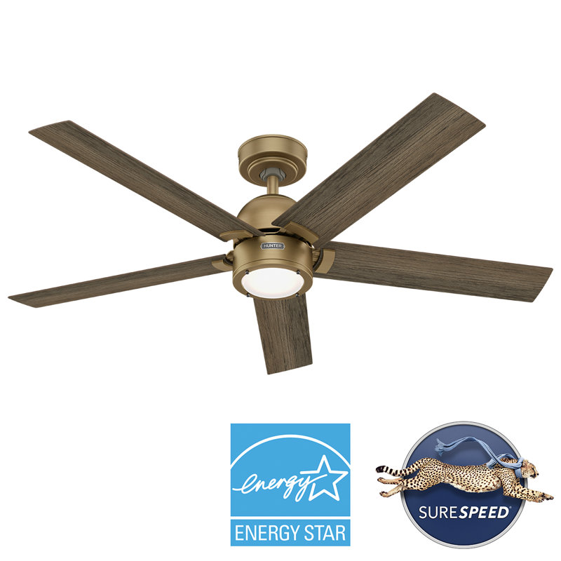 Hunter 52 Inch Erling ENERGY STAR® Ceiling Fan With Lights And Remote, Gold, Gray Wood