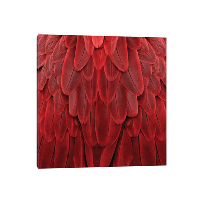 Feathered Friend In Red by Julia Bosco - Gallery-Wrapped Canvas Giclée on Canvas