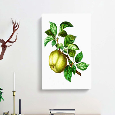 Green Apple by Pierre-Joseph Redoute - Wrapped Canvas Painting