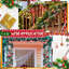 Guirlande de sapin de Noël 8 pi-1549912416