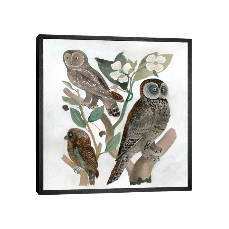 Traditional Owls II by Stellar Design Studio - Floater Frame Gallery-Wrapped Canvas Giclée on Canvas, 45.72 cm H x 45.72 cm W
