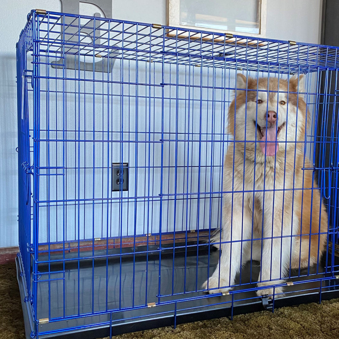 Bernadea Pet Crate Tucker Murphy Pet™