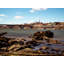 Georgetown On The Potomac Print by Scott Wurzel-65793192-65793188