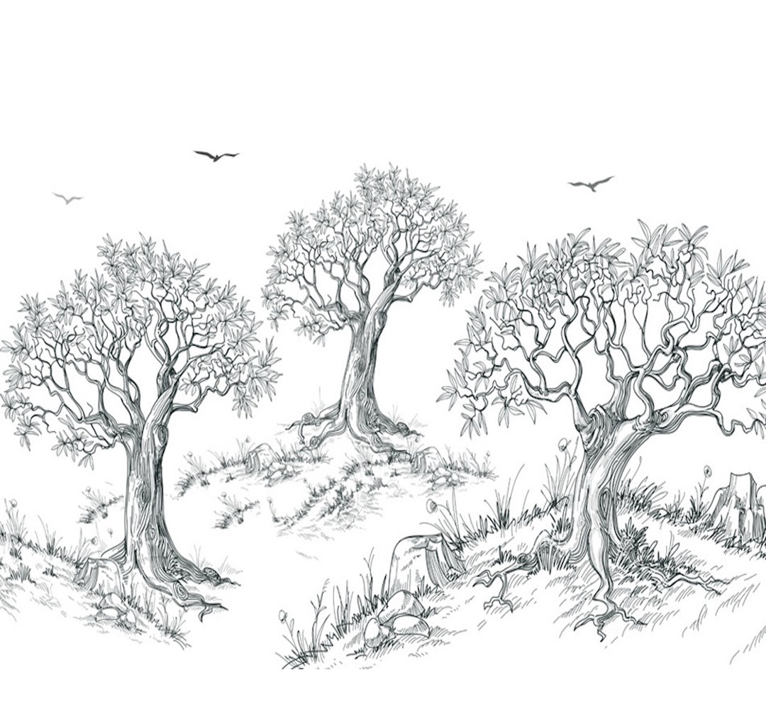 Sabb Wall Mural Union Rustic 