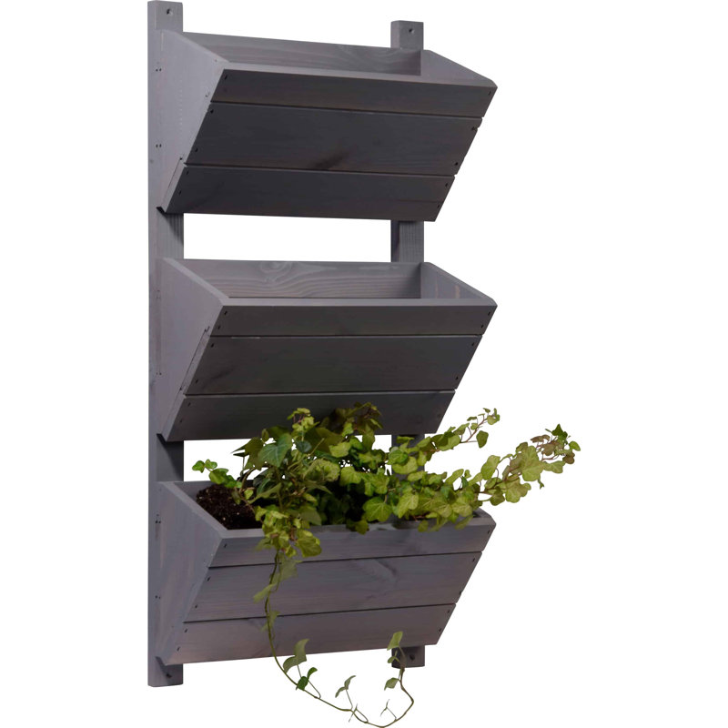 Aakanksha Handmade Wood Wall Planter, Grey