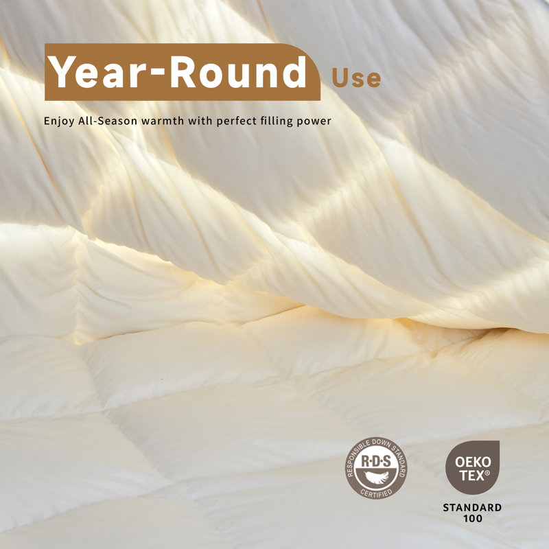 Luxurious Feather Down Breathable & Warmth Comforter/Duvet Insert with Corner Ties, Twin