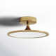 Daveney Single Light LED Semi Flush Mount
