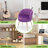 Ladson Velvet Upholstered Vanity Chair Round Back Accent Chair with Soft Cushion for Living Room Bedroom and Makeup Beauty Seat-1061494392