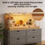 Hamster Cage-1579922592