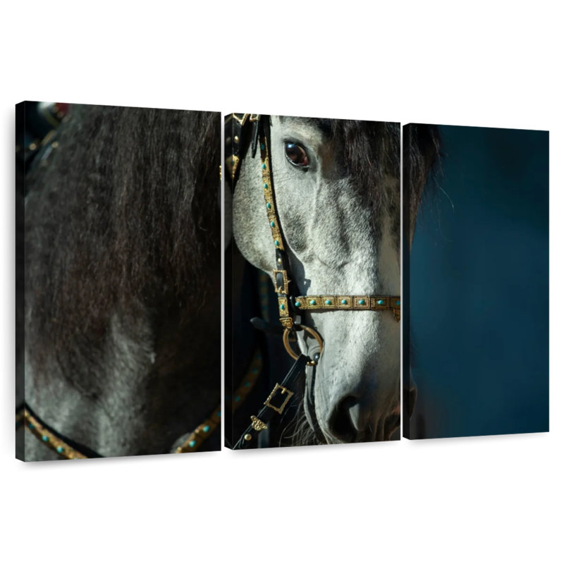 Cheval andalou bridé Brampt, H 36 po x l 57 po