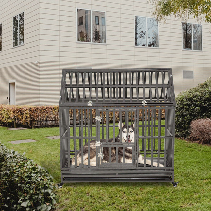 Caisse pour animaux Giorgio