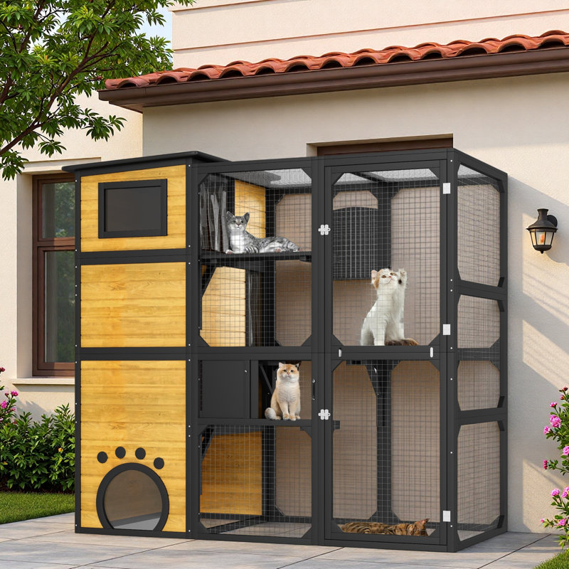 Maison d'extérieur pour chat avec plateformes et salles de repos