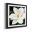 «Midnight Magnolia II», reproduction encadrée de qualité supérieure - prête à être accrochée-1218789678-1218789679-1218858698