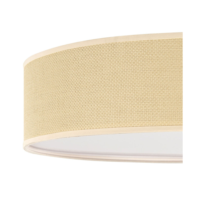 Magno Flush Mount